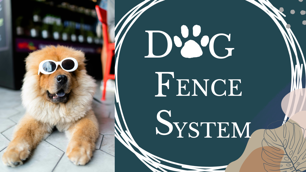 Exploring the Best GPS Dog Fence Systems Available