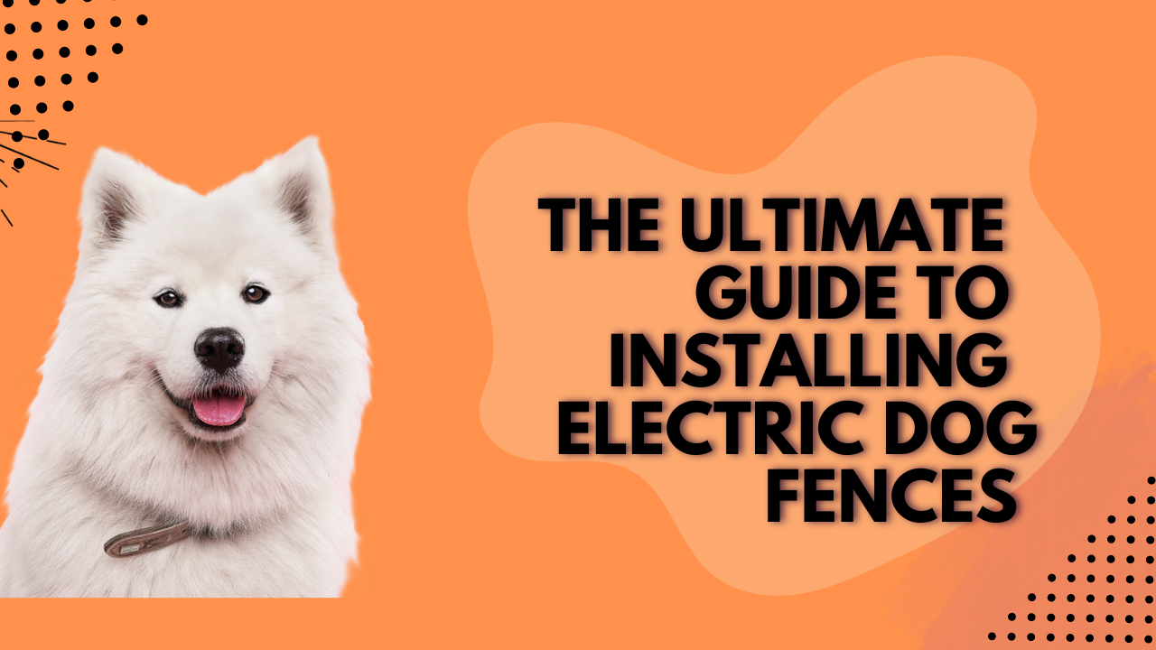 The Ultimate Guide to Installing Electric Dog Fences: Wireless, In-Ground, GPS, and Indoor Options.